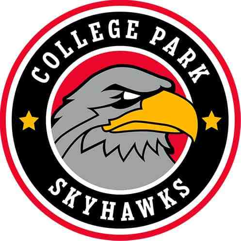 Fort Wayne Mad Ants vs. College Park SkyHawks